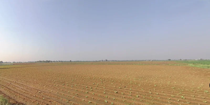 Sonardi, Gujarat 362205, India preview 2