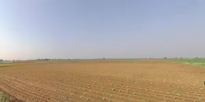 Sonardi, Gujarat 362205, India preview 2