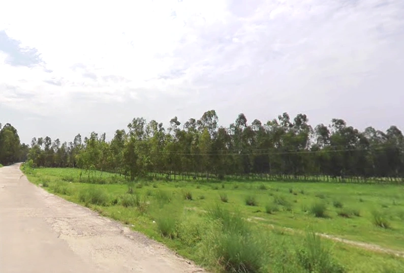 Sherpur Pelon, Uttar Pradesh 247121, India