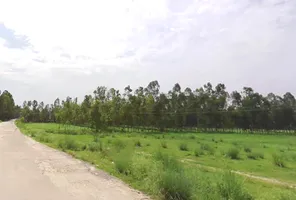 Sherpur Pelon, Uttar Pradesh 247121, India preview 3