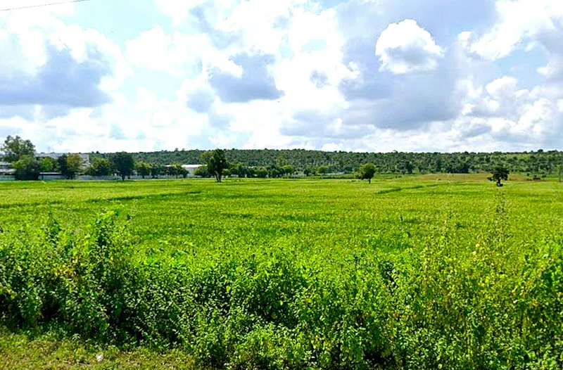 Bangrasia, Bhopal, Madhya Pradesh, India preview 2