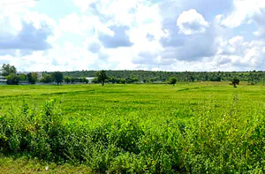 Bangrasia, Bhopal, Madhya Pradesh, India preview 2