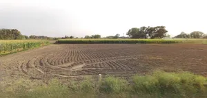 Rangia, Assam, India preview 2