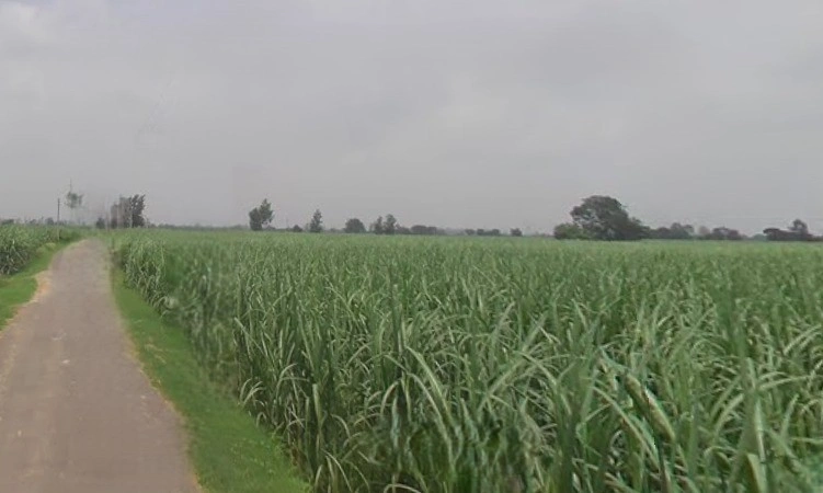 Nijampur, Uttar Pradesh, India