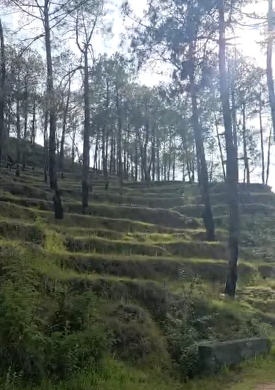 Dineshpur, Uttarakhand 263160, India preview 3