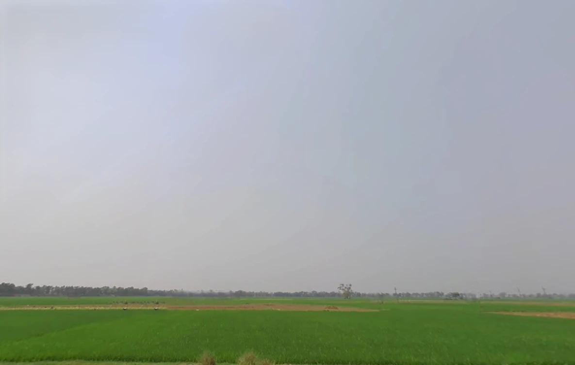 Newtown, Kolkata, West Bengal, India