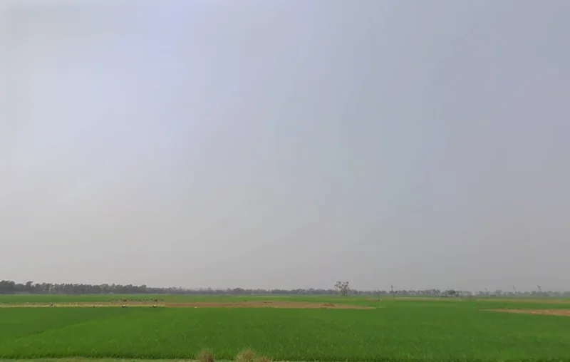 Newtown, Kolkata, West Bengal, India preview 2