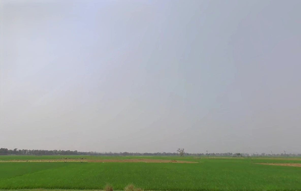 Newtown, Kolkata, West Bengal, India