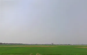 Newtown, Kolkata, West Bengal, India preview 2