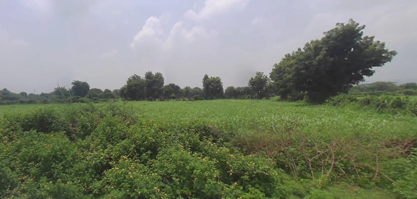 Udaipur, Rajasthan, India