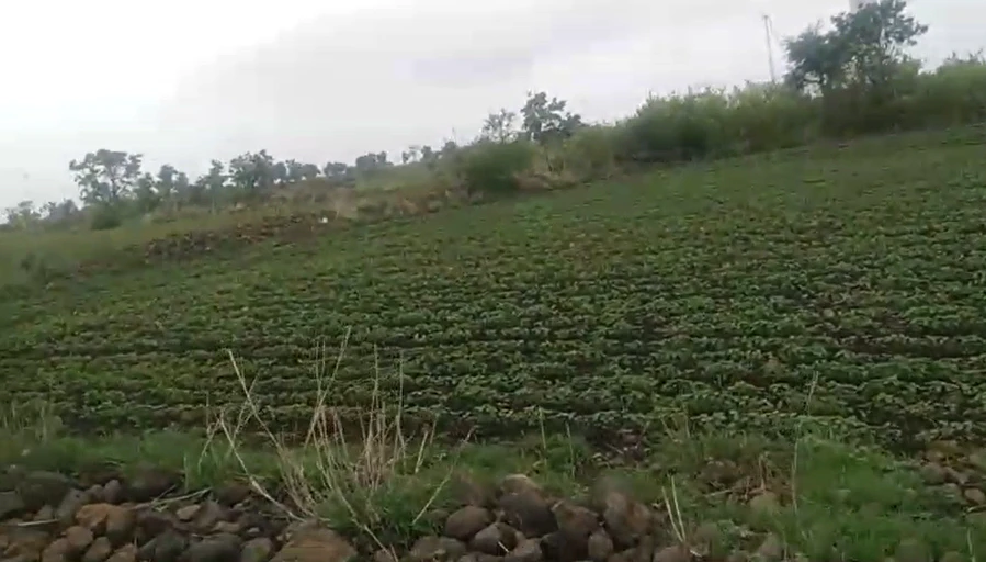 Ratibad, Bhopal, Madhya Pradesh 462044, India