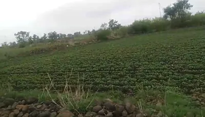 Ratibad, Bhopal, Madhya Pradesh 462044, India preview 2