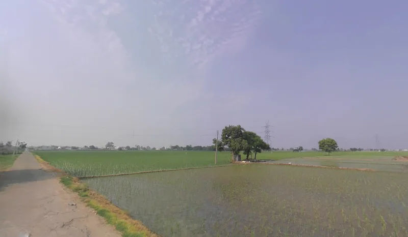 Dakha, Punjab 141102, India preview 2