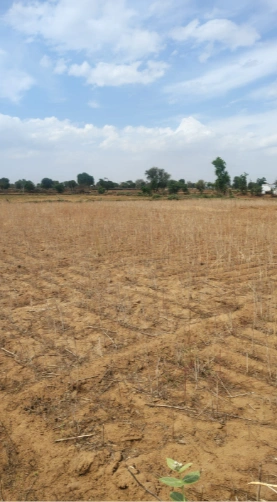 JRPX+75 Beejwa, Rajasthan, India - Photo 2