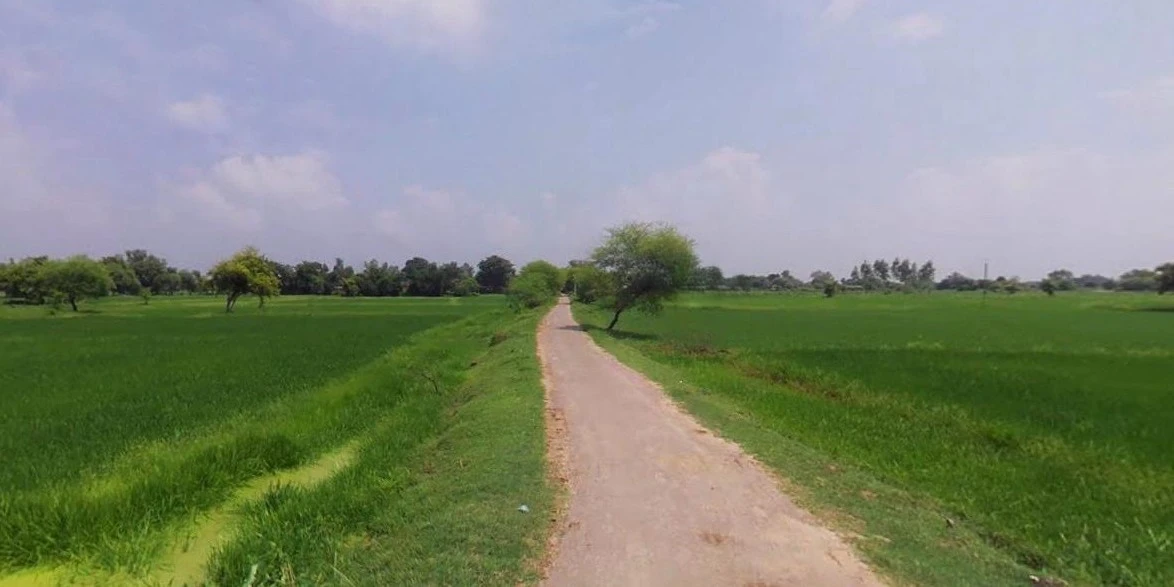 Barnagar, Madhya Pradesh 456771, India