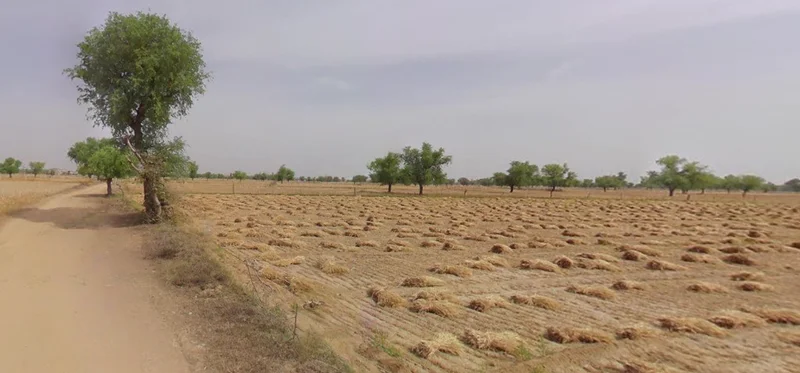 Rayla, Rajasthan 313603, India preview 2