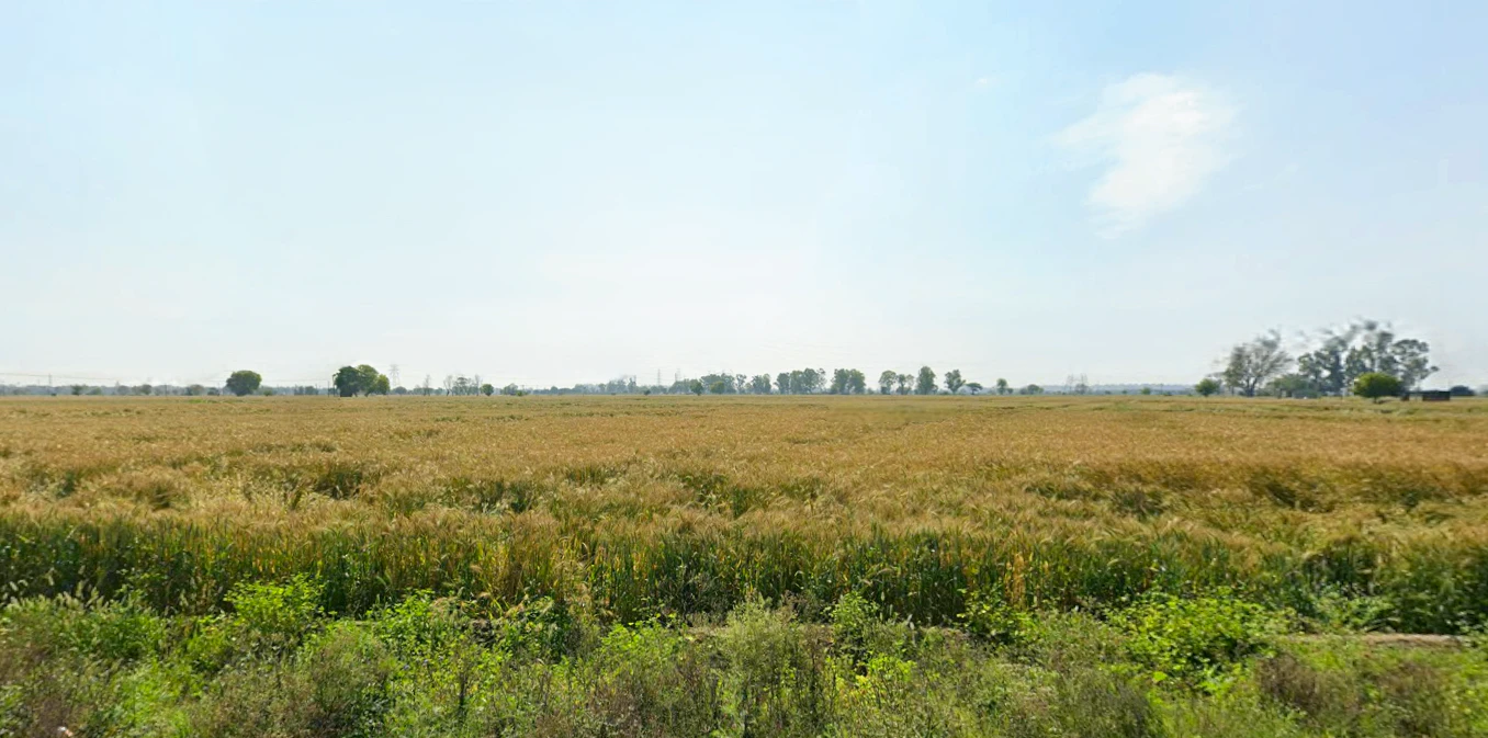Nilokheri, Haryana 132117, India