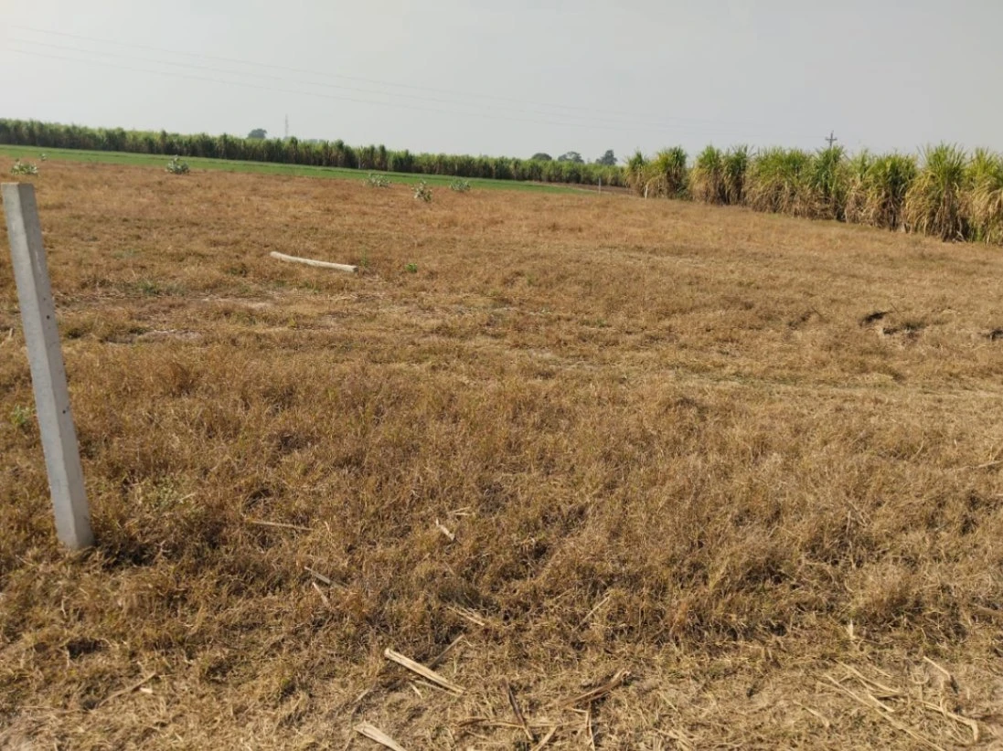 Lullon, Punjab 140412, India
