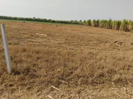 Lullon, Punjab 140412, India preview 2