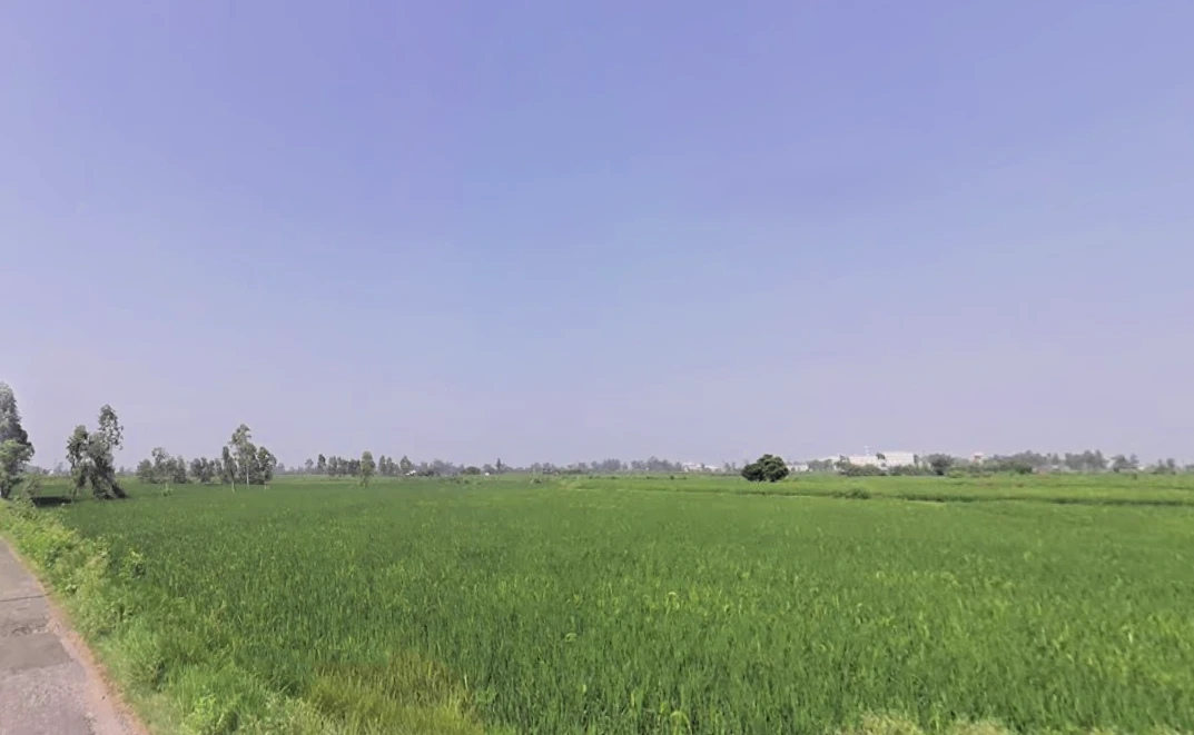 Bilaspur Kalan, Haryana 122413, India