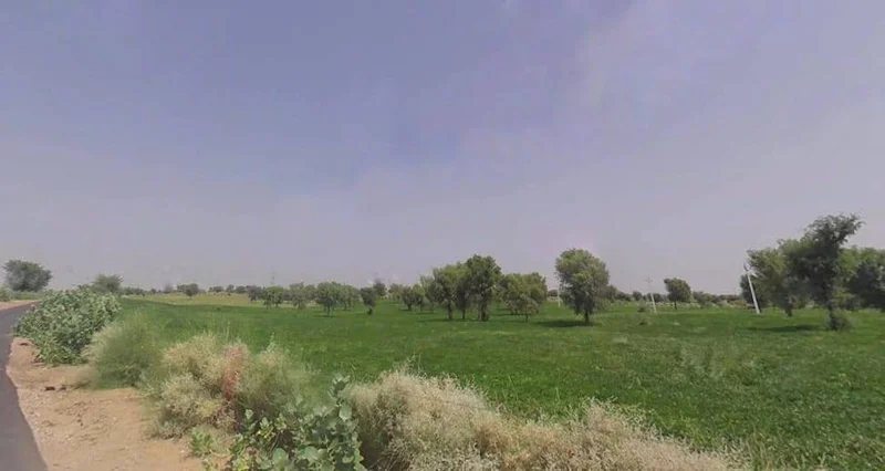 7H5C+JMQ, Molaniya, Rajasthan 334022, India preview 2