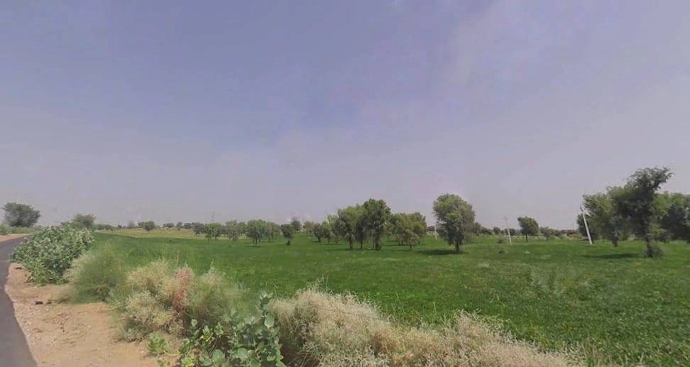 7H5C+JMQ, Molaniya, Rajasthan 334022, India