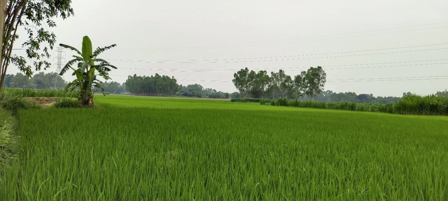 Ratawali, Rajasthan, India