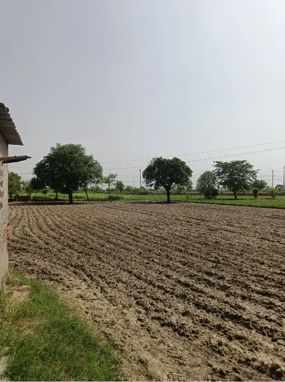 Sallaiya, Vidisha, Madhya Pradesh, India
