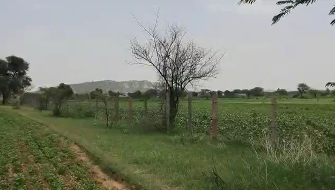 PGPJ+RJ Behroj, Khairthal-Tijara, Rajasthan, India