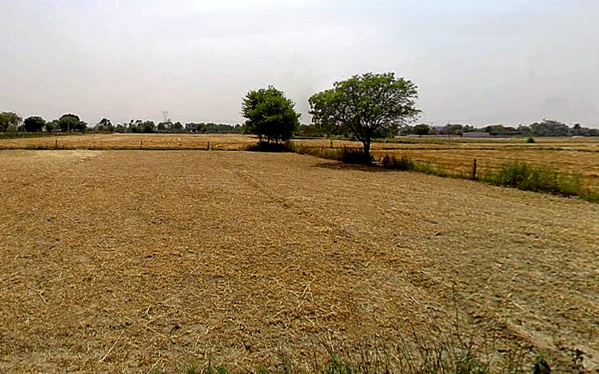 Kaimrala Chakrasenpur, Uttar Pradesh 201314, India