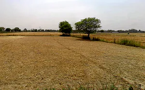 Kaimrala Chakrasenpur, Uttar Pradesh 201314, India preview 3
