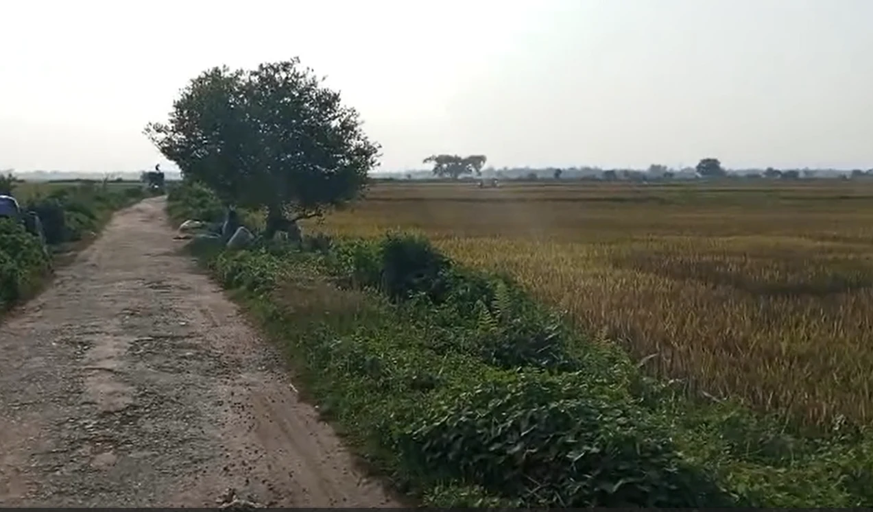 Hasanpur Village Rd, Hasanpur, Haryana 122105, India