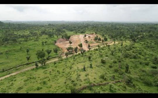 GW6V+6W2, Sheeshwi, Rajasthan 313703, India preview 3