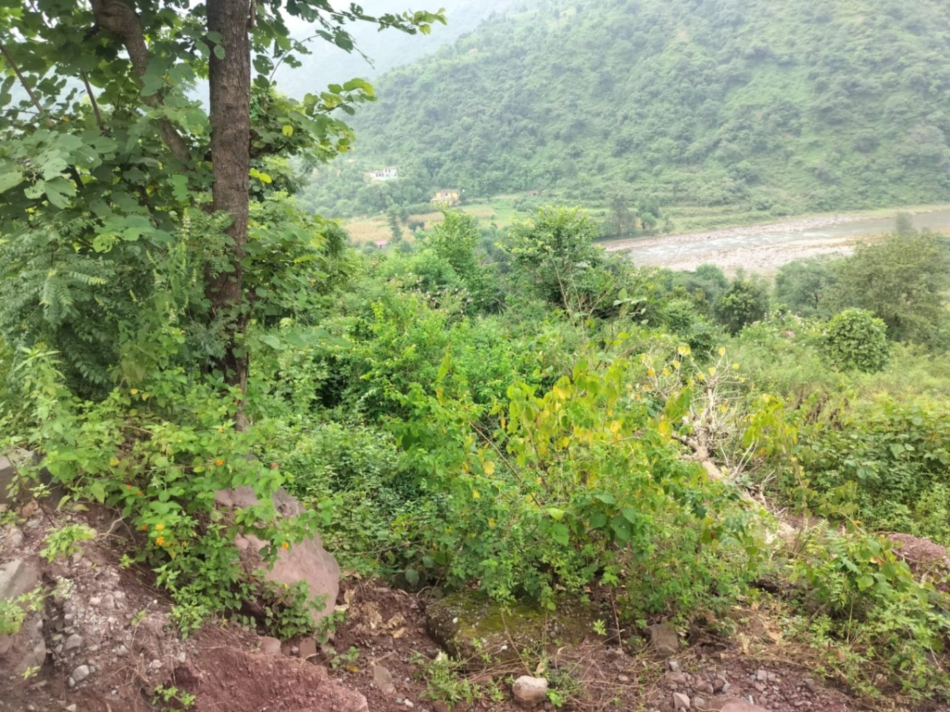 near Jaitak fort, Jamta, Jaitag, Himachal Pradesh 173001, India