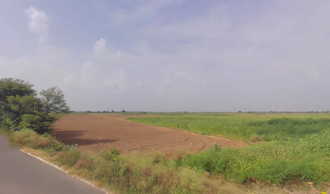 Nangal Mubarikpur, Haryana 122108, India