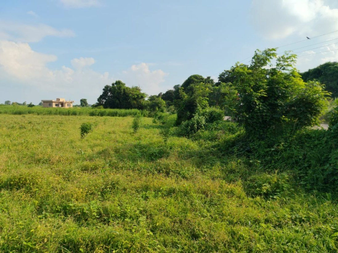 9HCR+4P2, Kanarsa, Uttar Pradesh, India preview 2