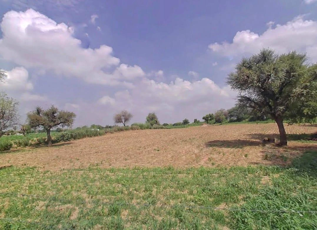 CQC2+HQ5, NH709, Peepli, Rajasthan 333031, India