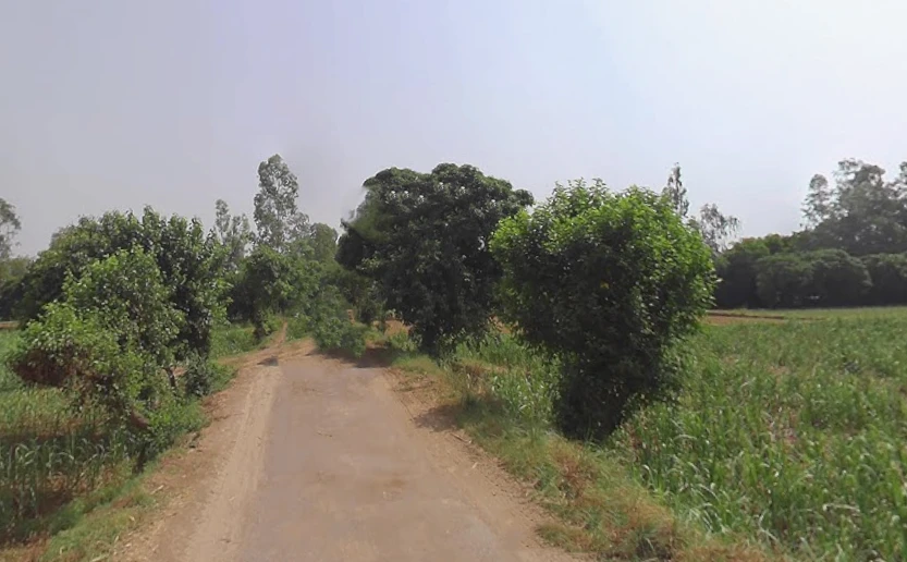 Bahorpur, Uttar Pradesh 250401, India