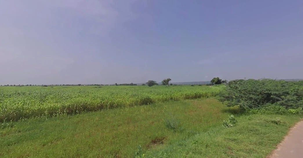 GCWX+7X3, Thanwala, Rajasthan 305026, India