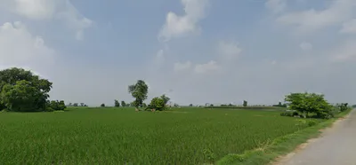 New Chandigarh, Punjab 140901, India preview 2
