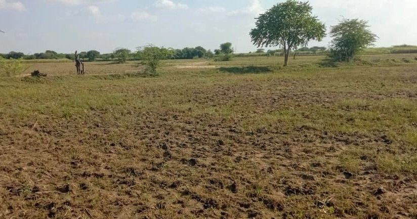 Machari, Rajasthan 301408, India