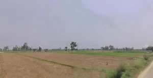 Pali, Uttar Pradesh 244304, India preview 2
