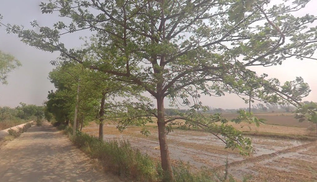 Khurja - Shikarpur Rd, Murari Nagar, Khurja, Uttar Pradesh, India
