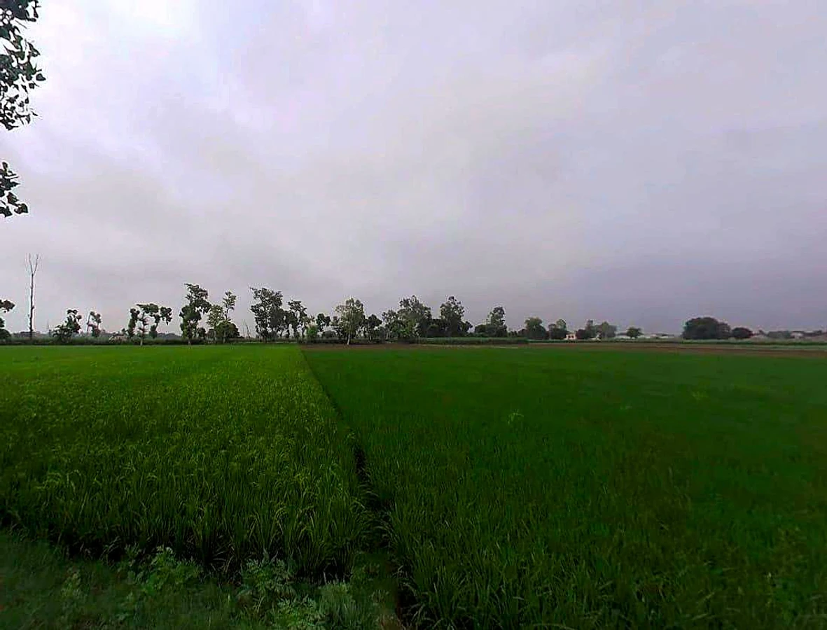 Thanabhawan, Uttar Pradesh, India