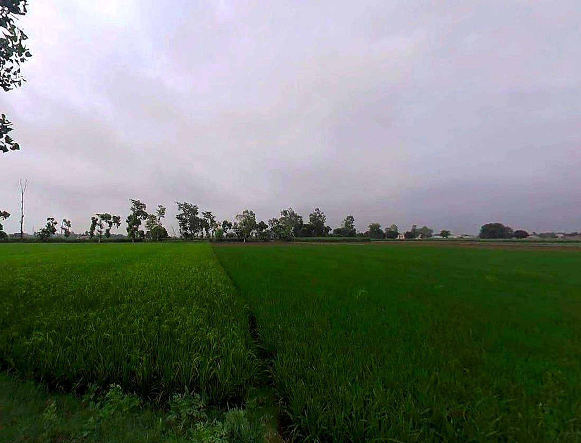 Thanabhawan, Uttar Pradesh, India