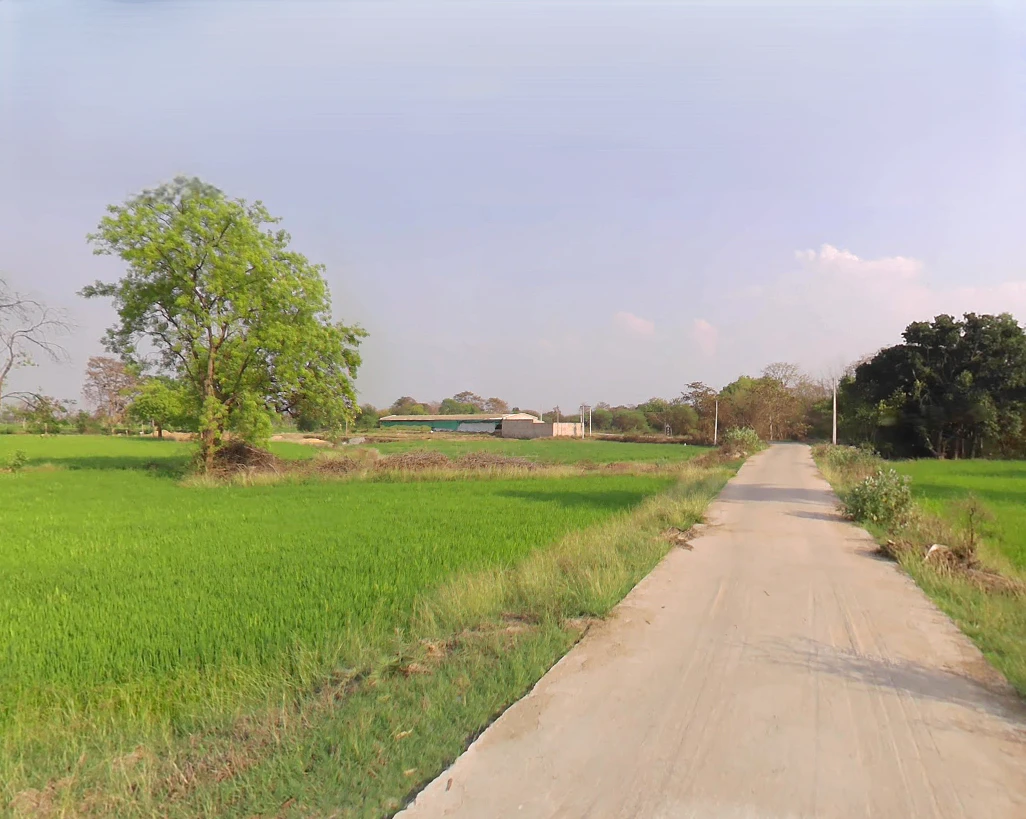 Ataria, Chhattisgarh 491885, India