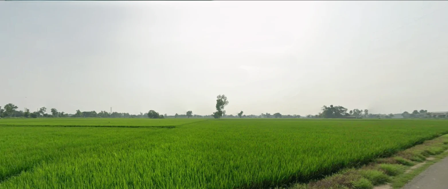 Amritsar, Punjab, India
