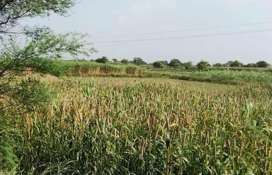 Ulaheri, Rajasthan, India