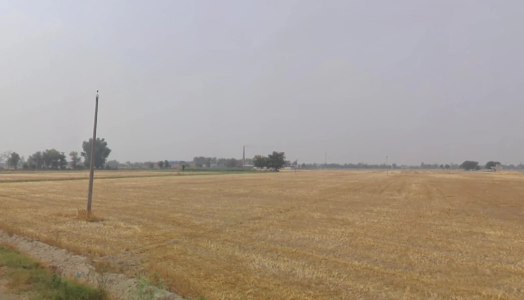 Devigarh Rd, Sunny Enclave, Raymajra, Punjab 147103, India