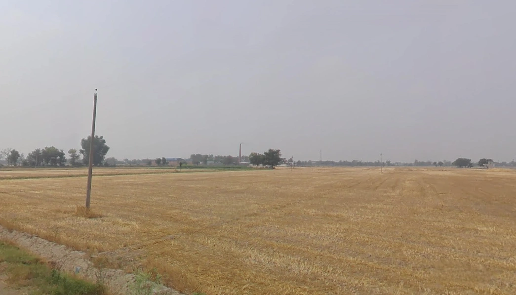 Devigarh Rd, Sunny Enclave, Raymajra, Punjab 147103, India